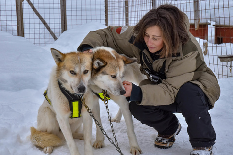 Retour du raid en chiens de traîneaux.