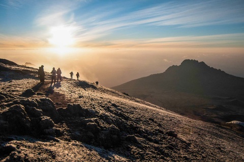 Barafu camp - Sommet de l'Uhuru Peak - Mweka camp (3100m)