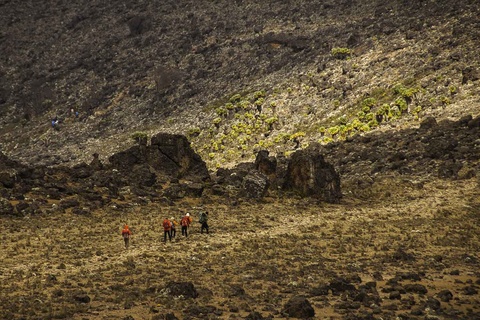 Karanga camp - Camp de Barafu (4600m)