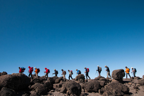 Moir Hut - Col de Lava Tower (4600m) - Barranco camp (3950m)