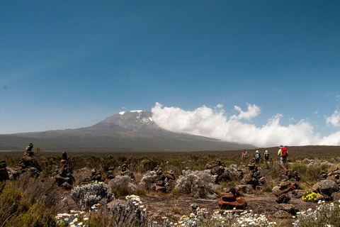 Machame 3000 m - Shira 3840 m