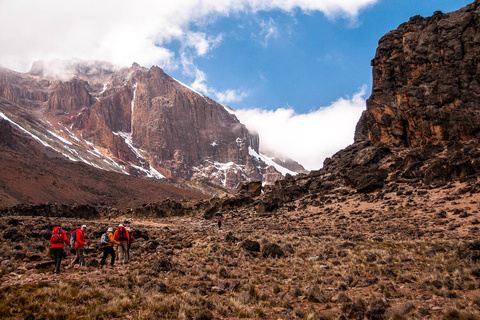 Shira 1 - Moir Hut (4200m)