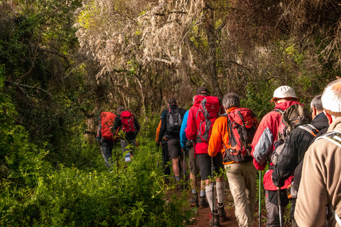 Transfert Machame Gate - Machame