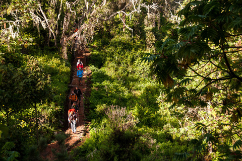 Transfert Machame Gate - Machame