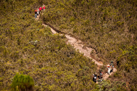 Machame 3000 m - Shira 3840 m