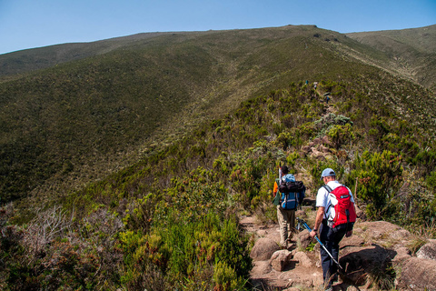 Machame 3000 m - Shira 3840 m