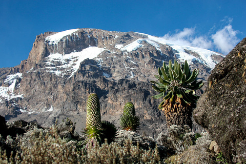 Shira 3840 m - Lava Tower  - Barranco 3950 m