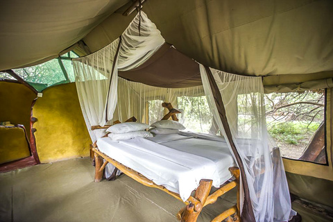 Lake Natron Tented Camp