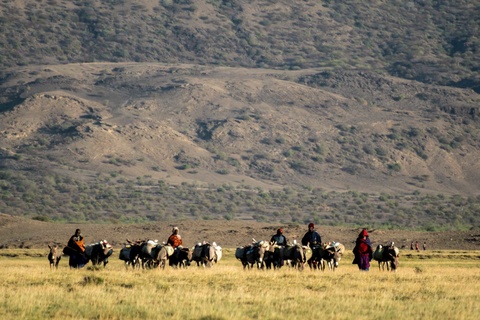 Serengeti - Lac Natron