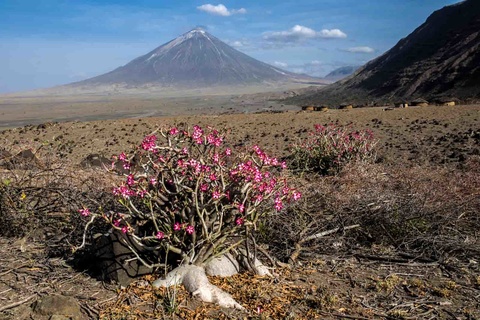 Lac Natron