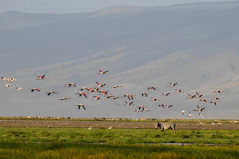 Naiyobi - Lac Natron