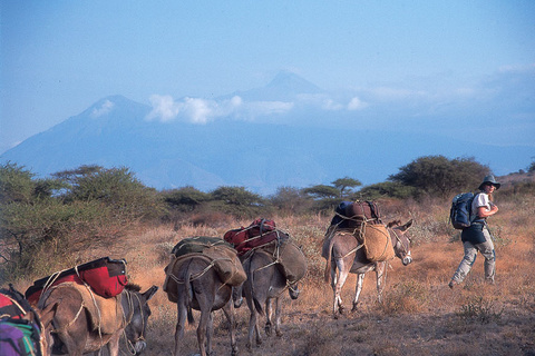 Naiyobi - Lac Natron