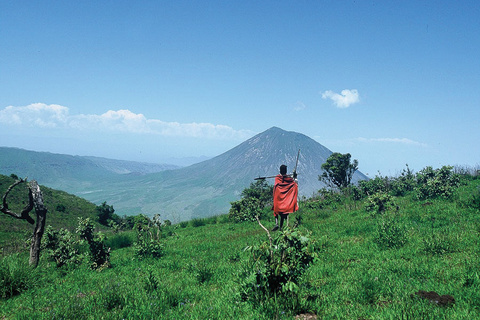 N'Gorongoro - Olmoti