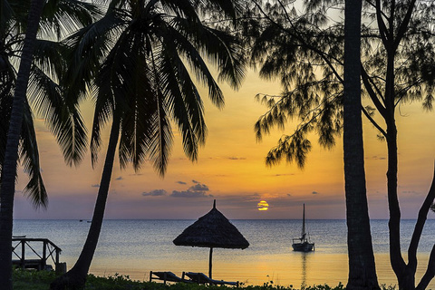 Zanzibar - Europe