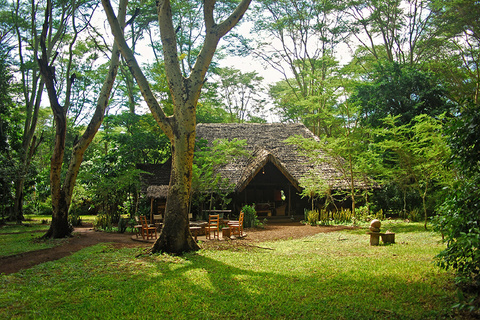 Mikunga forest camp
