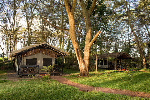 Mikunga forest camp