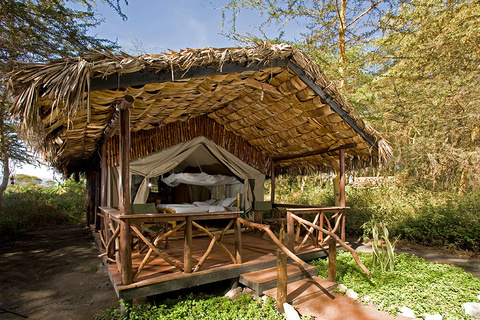 Mikunga forest camp