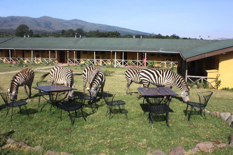 Ngorongoro Rhino Lodge