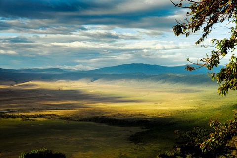 Serengeti - cratère du Ngorongoro