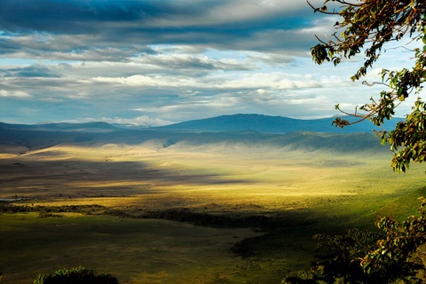 Serengeti - Ngorongoro