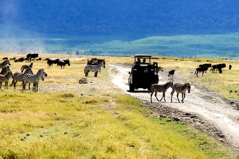 Mtowembu - N'Gorongoro