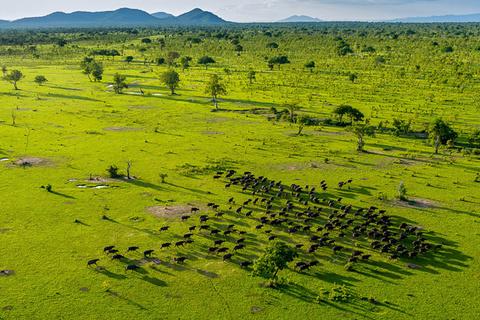 Zanzibar - Dar Es Salaam - Parc de Selous