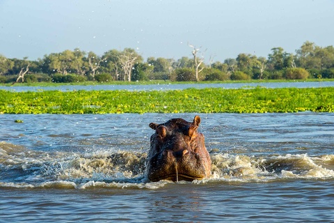 Zanzibar - Dar Es Salaam - Parc de Selous