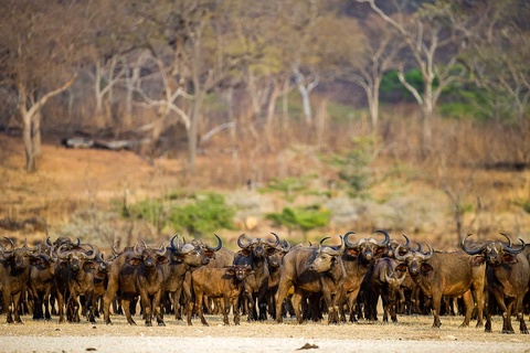 Parc de Selous