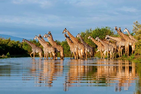 Parc de Selous