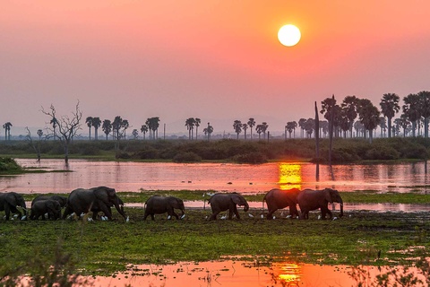 Parc de Selous