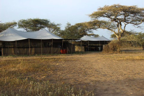 Ndutu tented camp