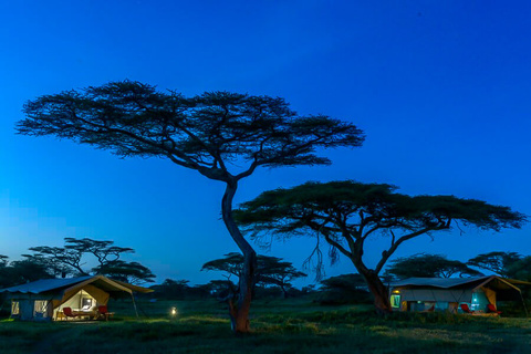 Ndutu wildland camp