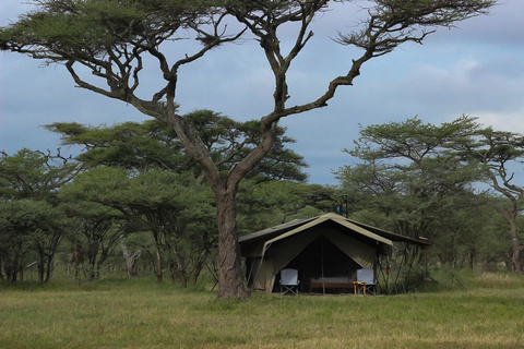 Serengeti Wildlands Camp