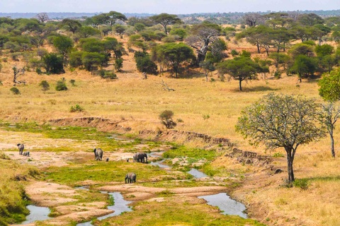 Arusha - Tarangire - Karatu