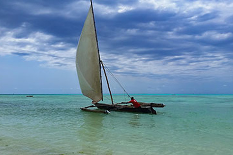 Zanzibar en liberté