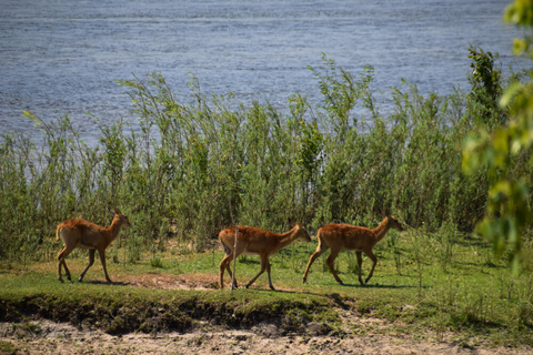 Lusaka - Kafue