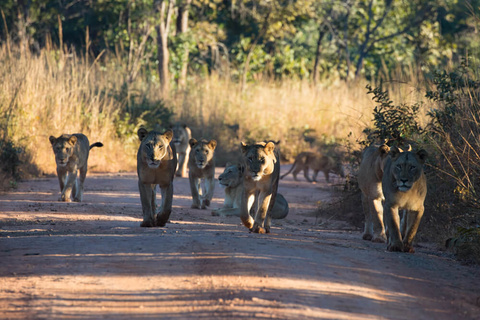 Parc national de Kafue