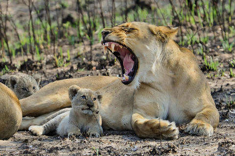 Parc national de Kafue