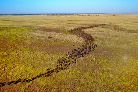 Liuwa Plains