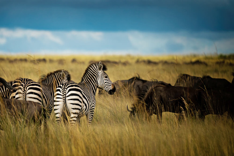 Liuwa Plains