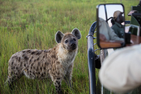 South Luangwa National Park - Liuwa Plains