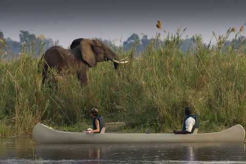 Lower Zambezi