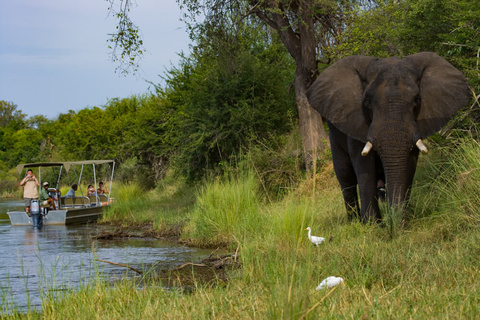 Lower Zambezi