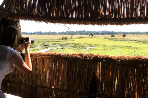 Parc national de Luangwa Sud