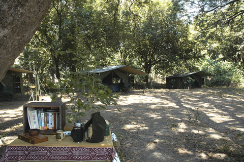 Luangwa Bush Camping