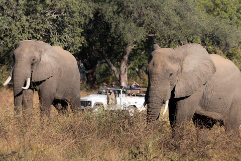 South Luangwa