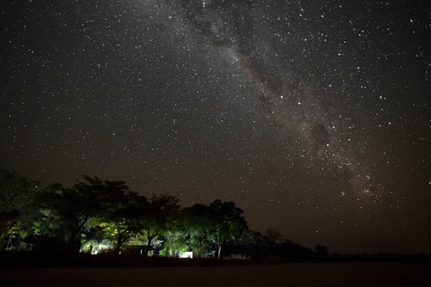 Nkonzi Bushcamp