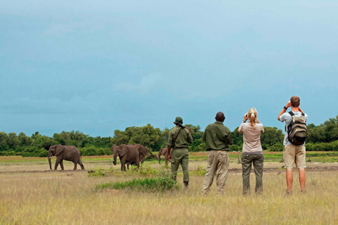 South Luangwa National Park