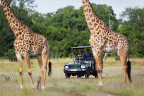 South Luangwa National Park