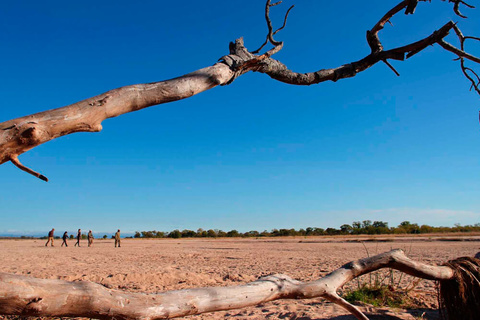 South Luangwa National Park